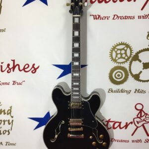 Vintage VSA500Bk