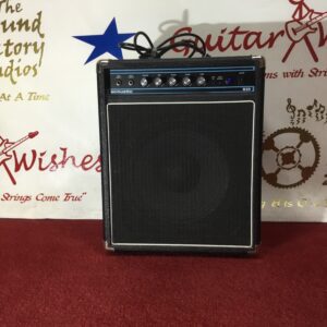 Acoustic B-20