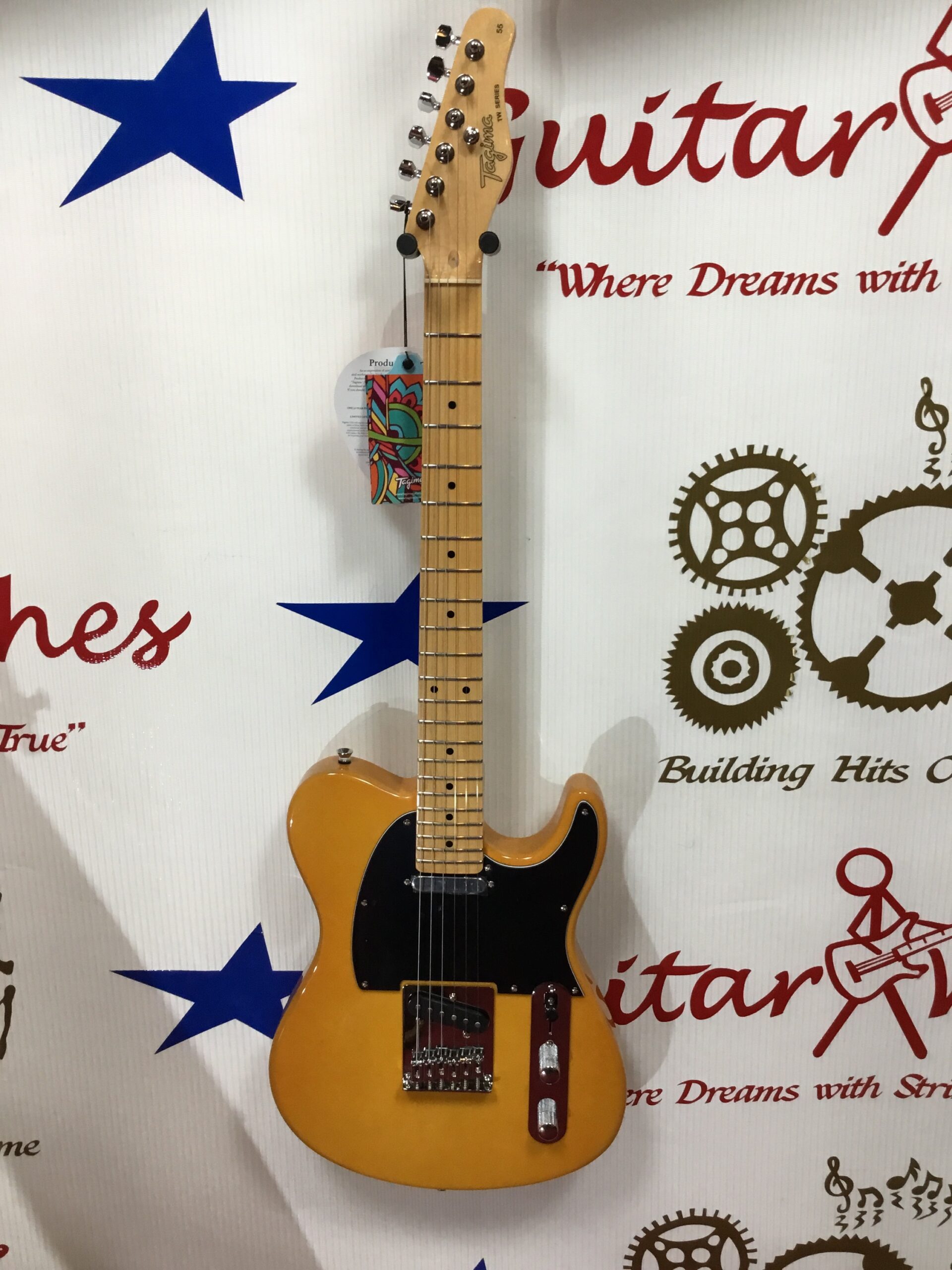 NEW Tagima TW55 Telecaster