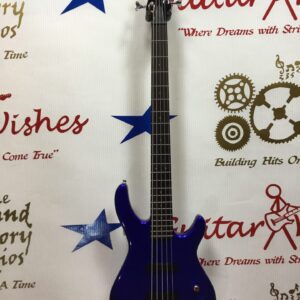 Squier 5-String Bass