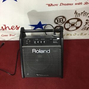 Roland personal monitor pm 100