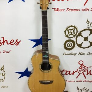 Washburn BTSC