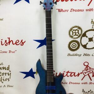 Schecter C5 GT