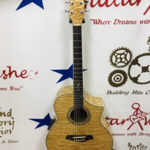 Ibanez EW20ASE-NT