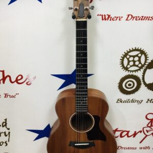 Taylor GS mini