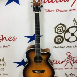 Washburn EA15ATR-A
