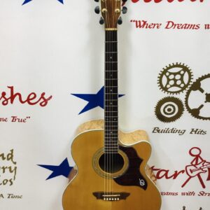 Washburn J28SCE