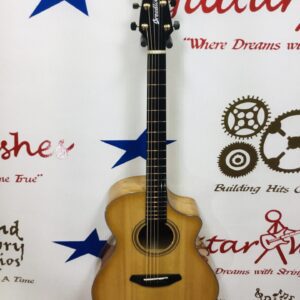 Breedlove Organic collection Artista Concert