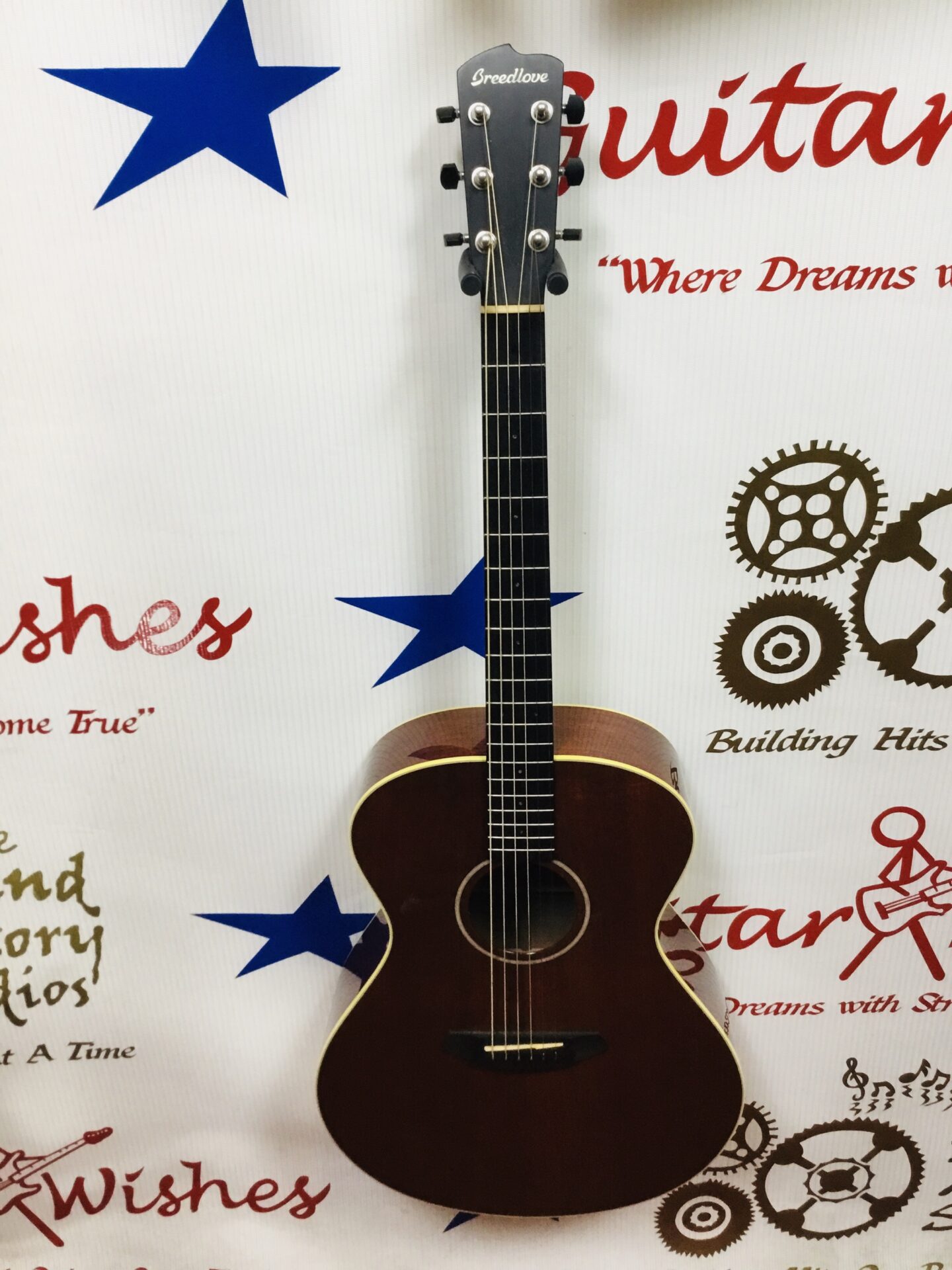 Breedlove Frontier Concerto