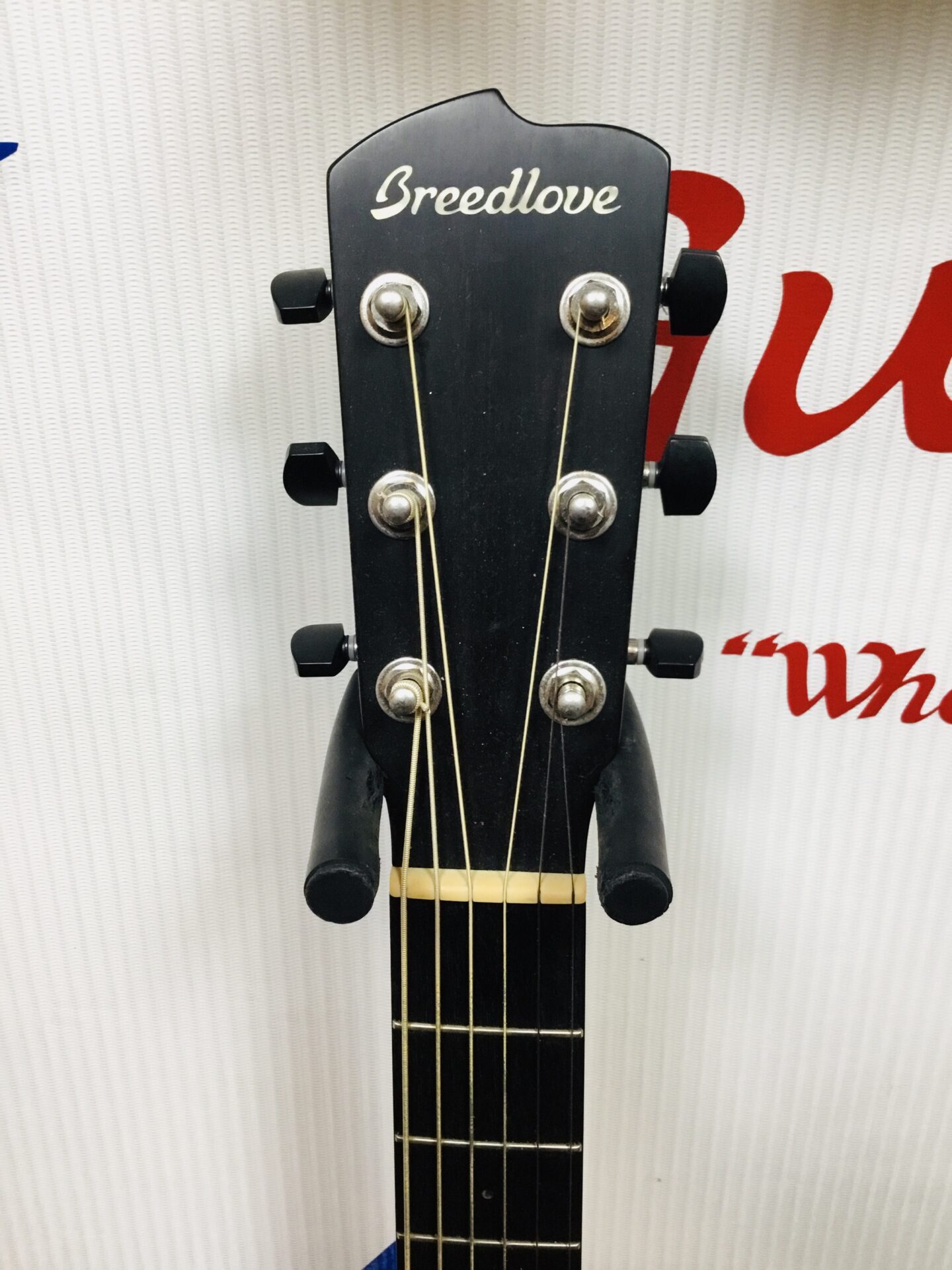 Breedlove Frontier Concerto - Image 3