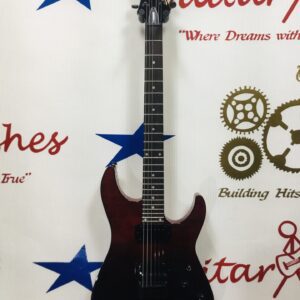 NEW Schecter C 1 Standard
