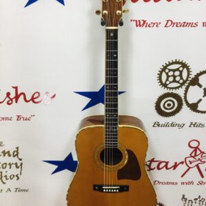 Ibanez AW 900
