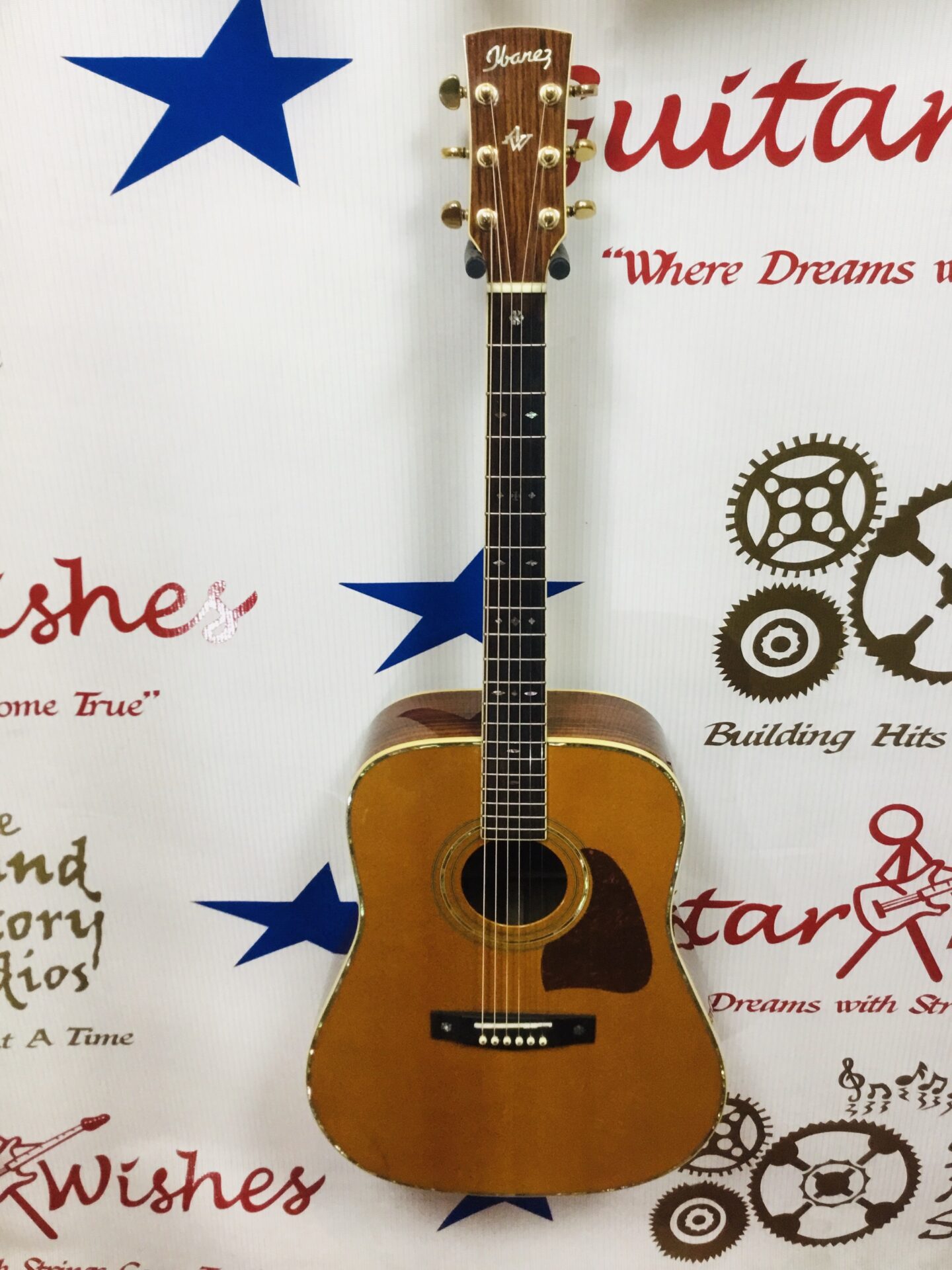 Ibanez AW 900