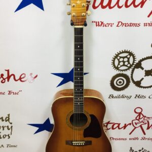 Ibanez AW 200