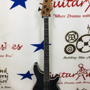 NEW Schecter C-4 Standard